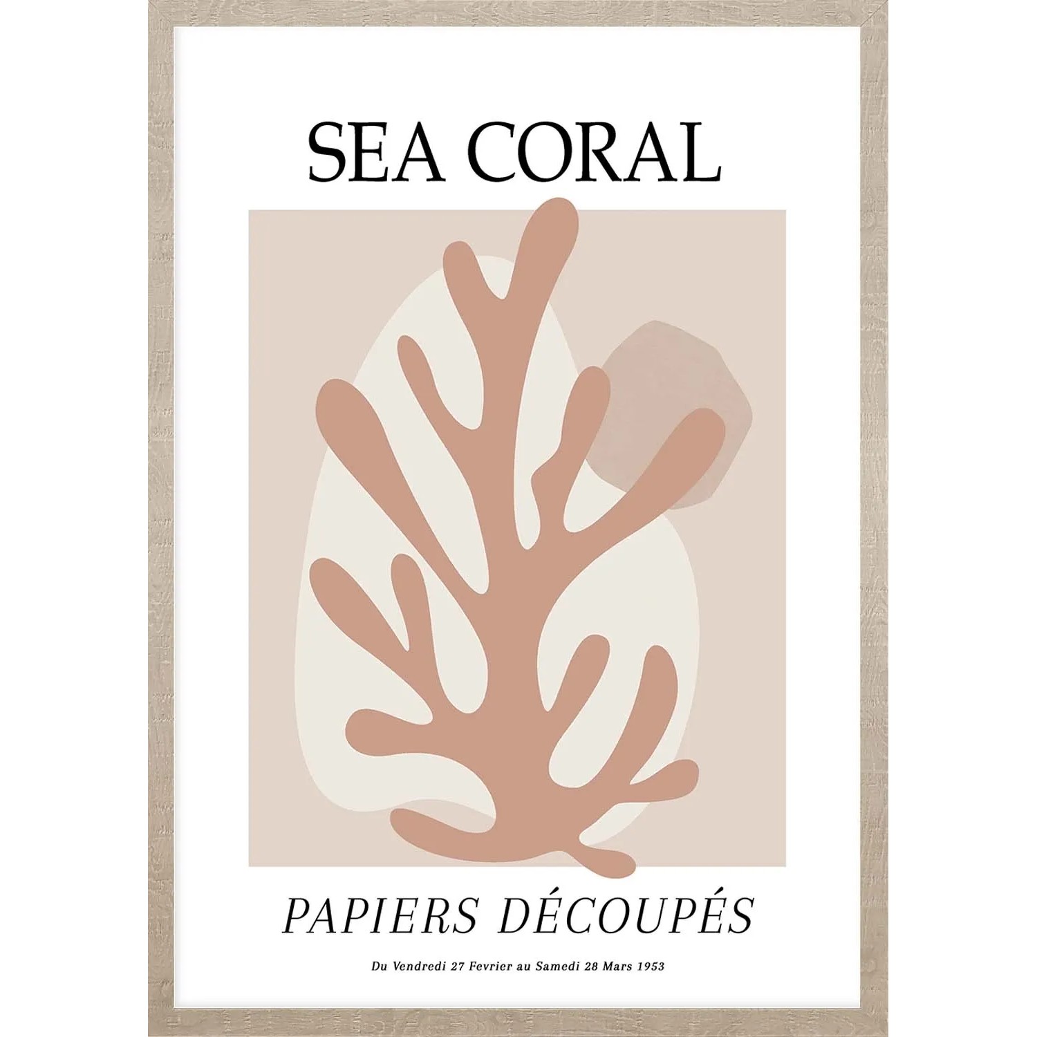 ARS LONGA Obraz SEA CORAL 53 x 73 cm