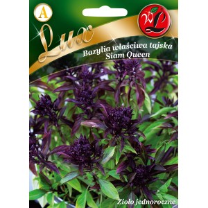 Opakowanie nasion bazylii tajskiej 'Siam Queen' Lux, roślina jednoroczna.