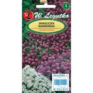 Opakowanie nasion Smagliczki nadmorskiej (Lobularia maritima) z fioletowymi i białymi kwiatami.