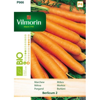 Marchew bio Berlicum 2 - 5 g