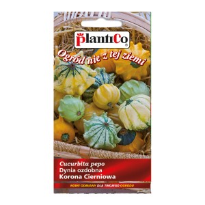 Opakowanie nasion dyni ozdobnej 'Korona Cierniowa'. Różnorodne, dekoracyjne dynie do ogrodu.