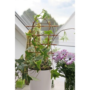 Beżowa kratka na kwiaty (2 szt.) z bluszczem w doniczce, podpórka dla roślin doniczkowych.