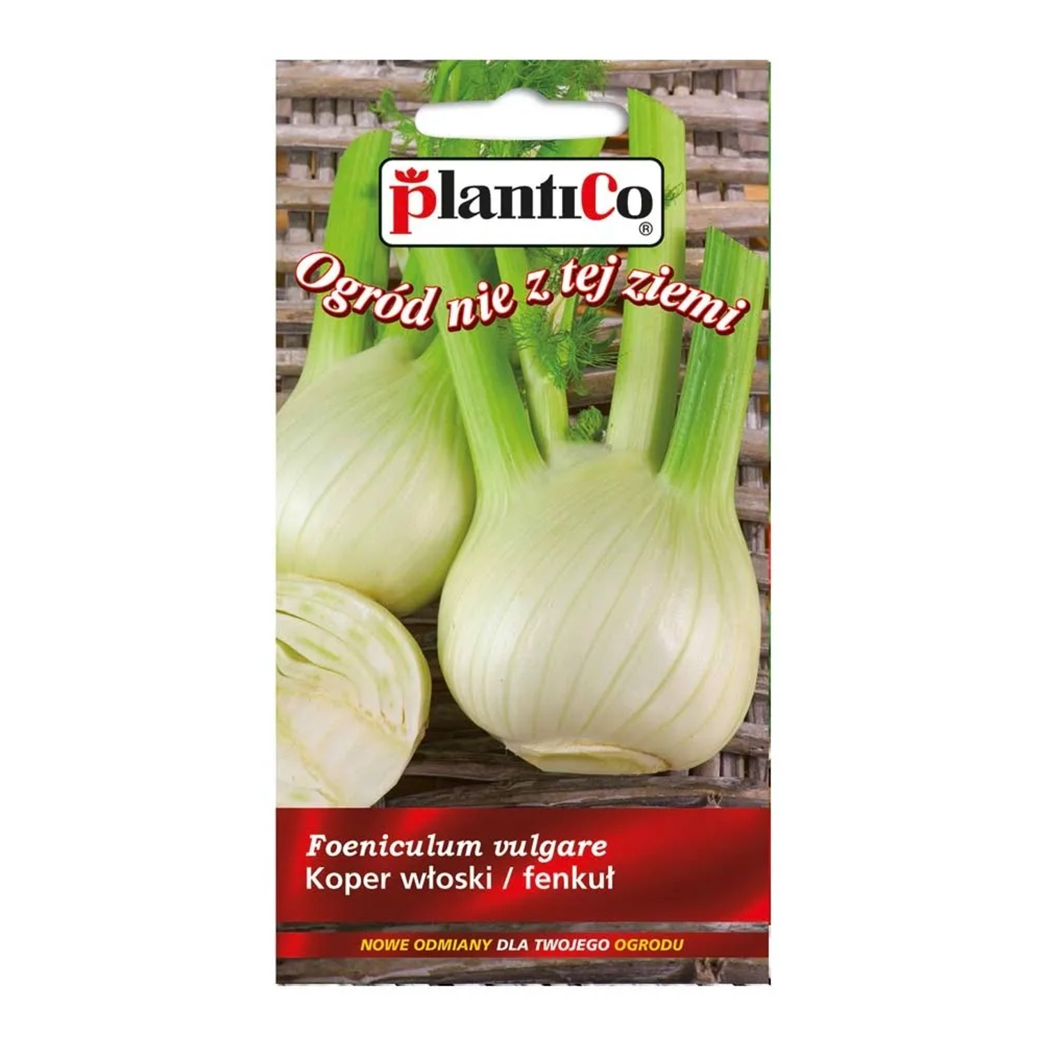 Fenkuł