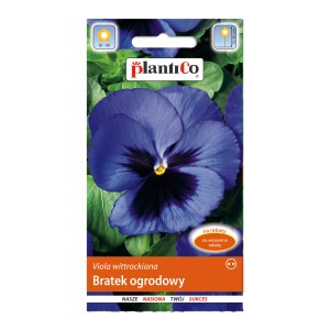 Opakowanie nasion bratka (Viola wittrockiana) z niebieskim kwiatem. Idealne na rabaty i balkony.