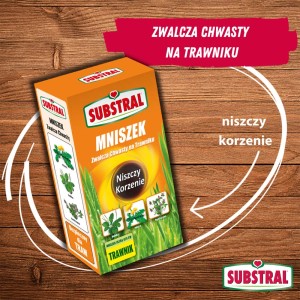 Substral Mniszek do zwalczania chwastów na trawnikach. Niszczy chwasty i korzenie.