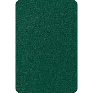 Zielona mata ogrodzeniowa t.b.t. o drobnej strukturze zapewniająca prywatność w ogrodzie.