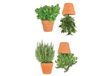 Naklejka na ścianę BAZYLIA DONICZKI 45 cm x 65 cm 2 szt. Naklejka na ścianę BAZYLIA DONICZKI 45 cm x 65 cm 2 szt.