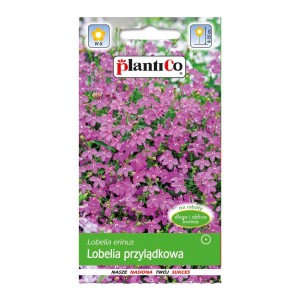 Torebka z nasionami Lobelii przylądkowej: Kwitnąca, liliowa Lobelia erinus na rabaty i balkony.