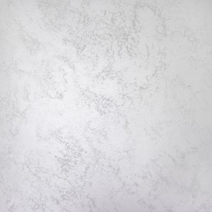 Farba efektowa t.b.t., srebrzysto-biała powierzchnia z lekką strukturą.