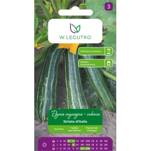 Legutko Dynia zwyczajna Striato d'Italia 2g
