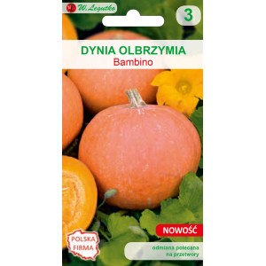 Nasiona dyni 'Bambino', pomarańczowe owoce, idealne do uprawy warzyw w ogrodzie.