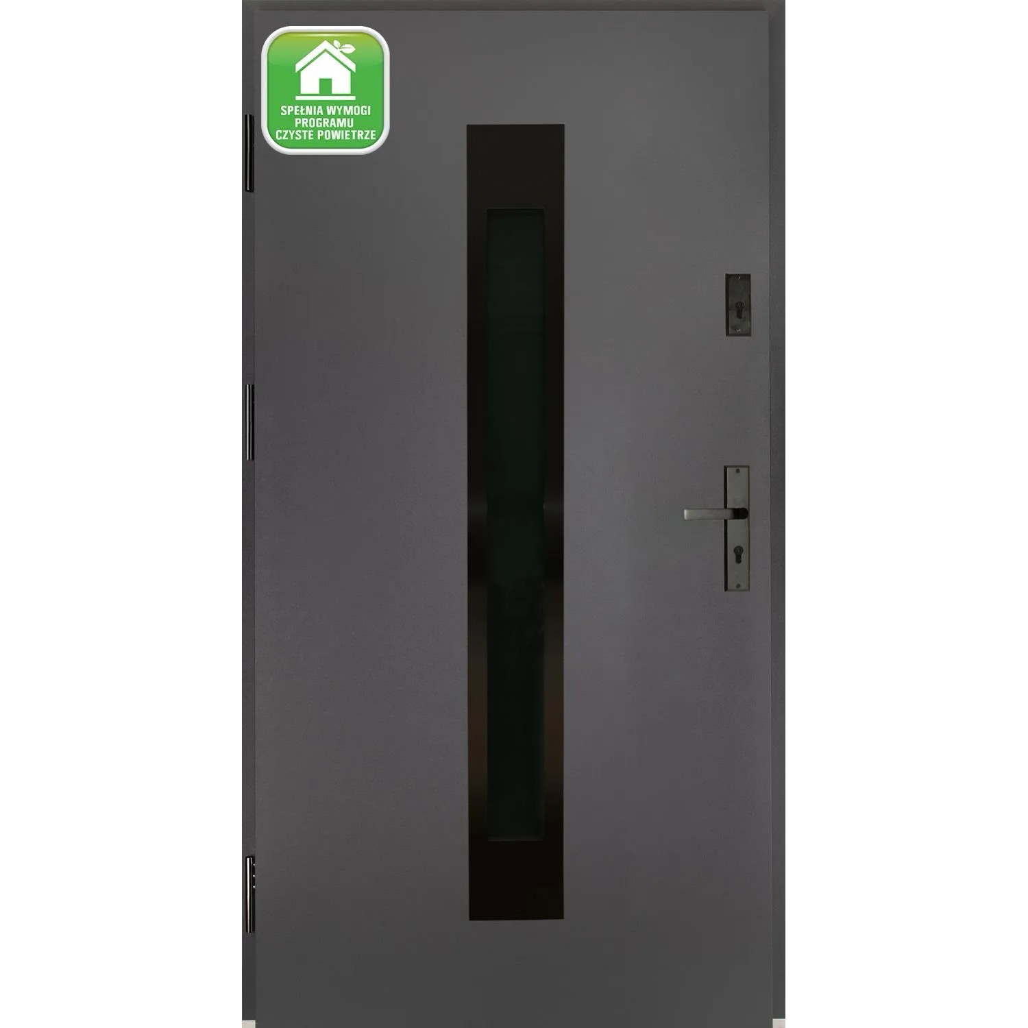 Drzwi zewnętrzne Satis black antra otwierane otwierane na zewnątrz 90L