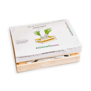 Nasiona t.b.t. w drewnianej skrzynce z pokrywką. Kategoria: Inne nasiona.