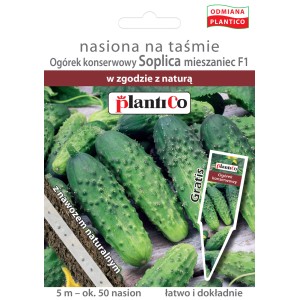 Zdjęcie opakowania nasion "Ogórek Soplica F1" Plantico, nasiona warzyw na chrupiące ogórki konserwowe.