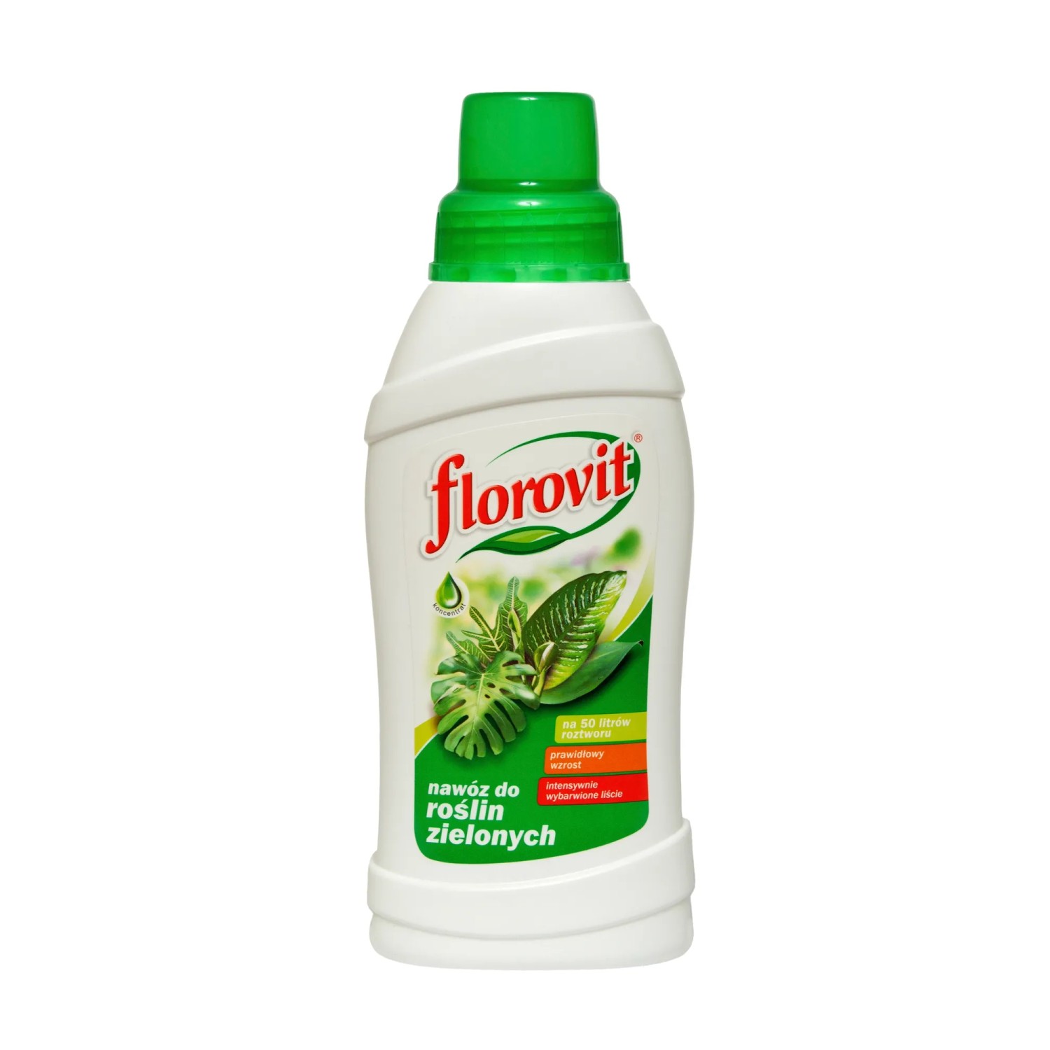 Florovit Nawóz do roślin zielonych 550 g.