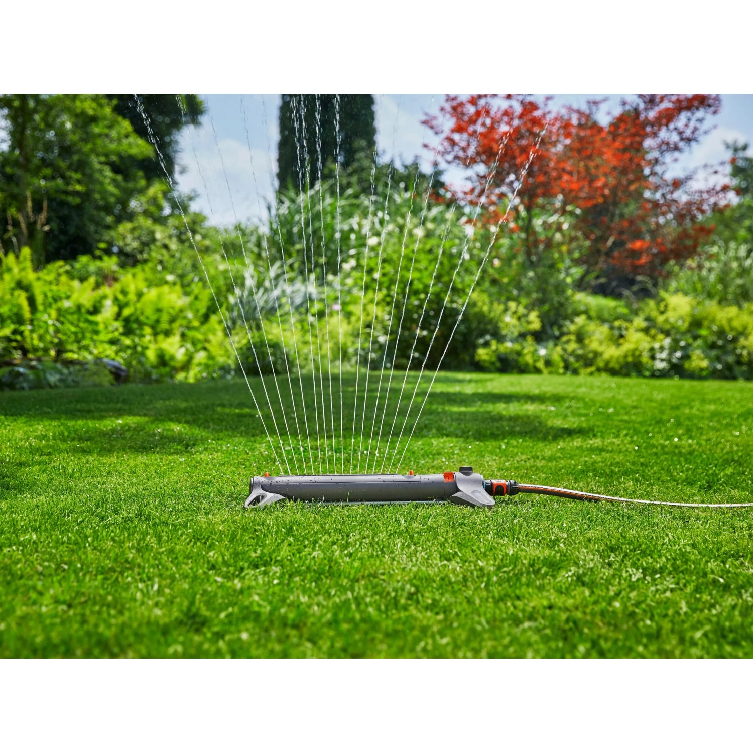 Zraszacz Gardena Aqua Zoom M w akcji, nawadnia trawnik. Zraszacz wahadłowy do powierzchni do 250 m².