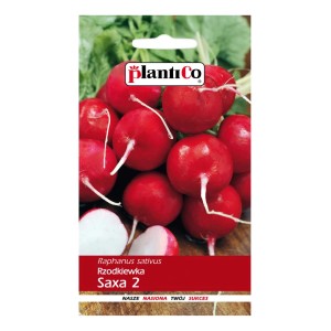 Opakowanie nasion rzodkiewki 'Saxa 2' Plantico, nasiona warzyw do ogrodu.
