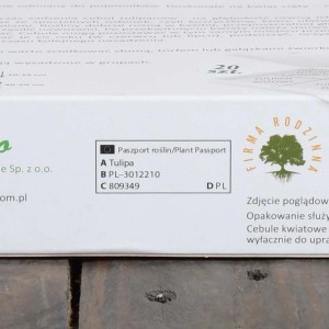 Opakowanie cebulek kwiatowych t.b.t. z paszportem roślin i informacją Tulipa.