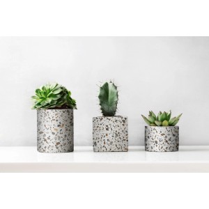 Trzy sukulenty w doniczkach z wzorem lastryko. Folia dekoracyjna do indywidualnego projektowania.