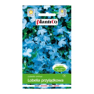 Opakowanie nasion Lobelia przylądkowa (t.b.t.) z niebieskimi kwiatami, idealne na rabaty.