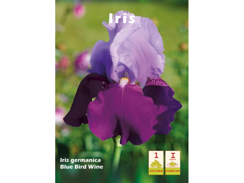 Irys Blue Bird Wine 1szt kupuj w OBI