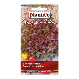 Opakowanie nasion sałaty dębolistnej 't.b.t.' Plantico, o czerwonych liściach.