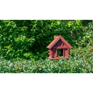 Mały, czerwony karmnik dla ptaków t.b.t. w ogrodzie.