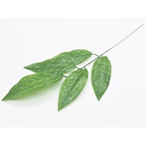 Dekoracyjne liście t.b.t. do dekoracji ogrodu.