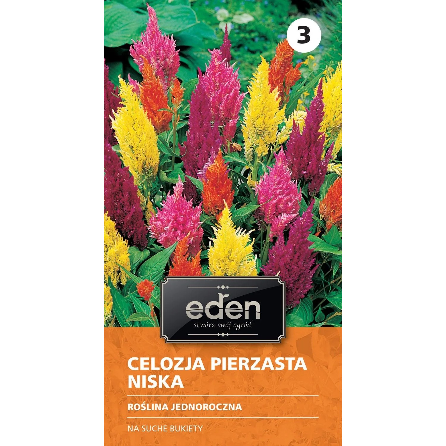 Celozja niska Komono mix - 1 g