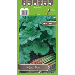 Opakowanie nasion rabarbaru 'Mira' z zielonymi liśćmi i czerwonymi łodygami.
