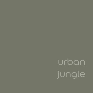 Próbka koloru farby do ścian t.b.t. w odcieniu Urban Jungle.