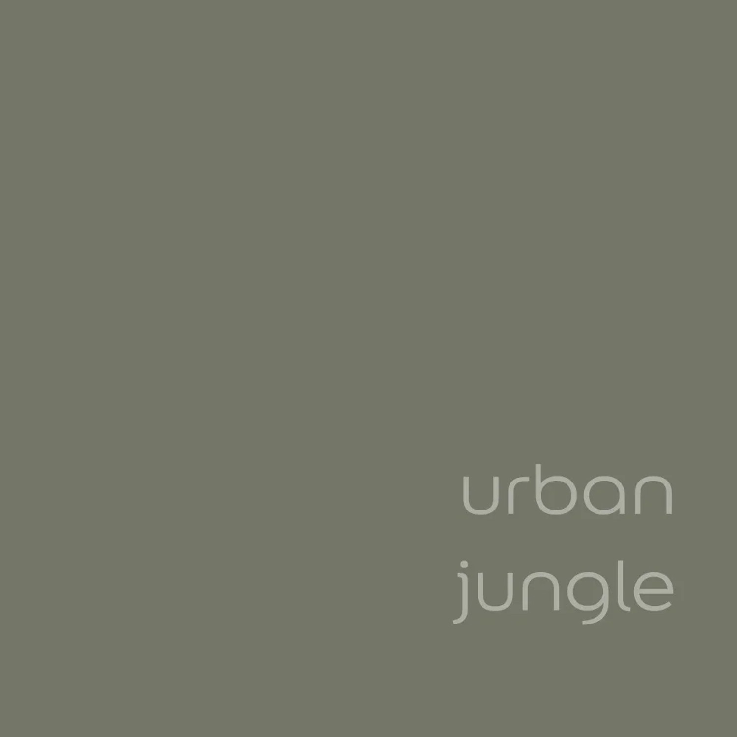 Próbka koloru farby do ścian t.b.t. w odcieniu Urban Jungle.