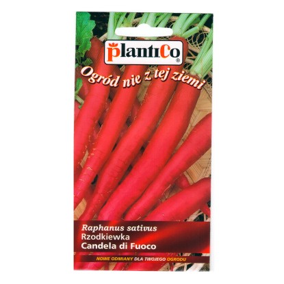 Rzodkiewka Candelladi  fuoco