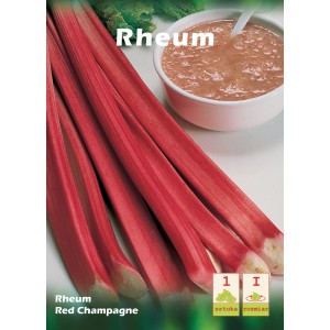 Rabarbar 'Red Champagne': Czerwone łodygi i miska kompotu rabarbarowego.