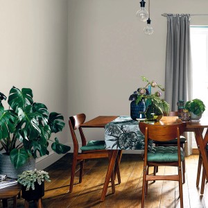 Pokój dzienny z kolorowo pomalowaną ścianą, stołem i roślinami doniczkowymi. Kolorowa farba do ścian wewnętrznych.