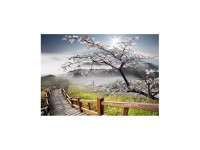 Obraz Decopanel SAKURA 60 cm x 90 cm Obraz Decopanel SAKURA 60 cm x 90 cm