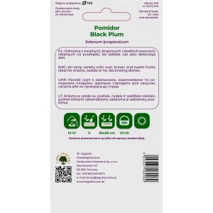 Legutko Pomidor Black Plum brązowy 0,2g