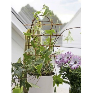 Beżowa kratka na kwiaty (2 szt., 77 cm) z bluszczem w doniczce, wygląd bambusa.