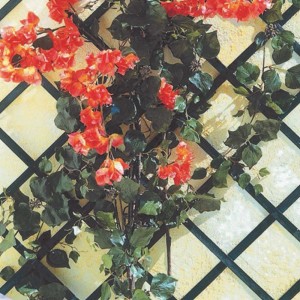 Dekoracyjna kratka z pomarańczowymi kwiatami i zielonymi liśćmi do ogrodu i na patio.