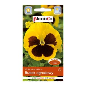 Opakowanie nasion bratka ogrodowego (Viola wittrockiana) w kolorze żółtym do rabat i na balkony.