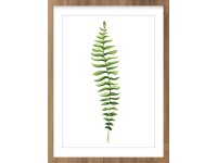 Obraz Modernpik GREENERY FR278 40 cm x 30 cm Obraz Modernpik GREENERY FR278 40 cm x 30 cm