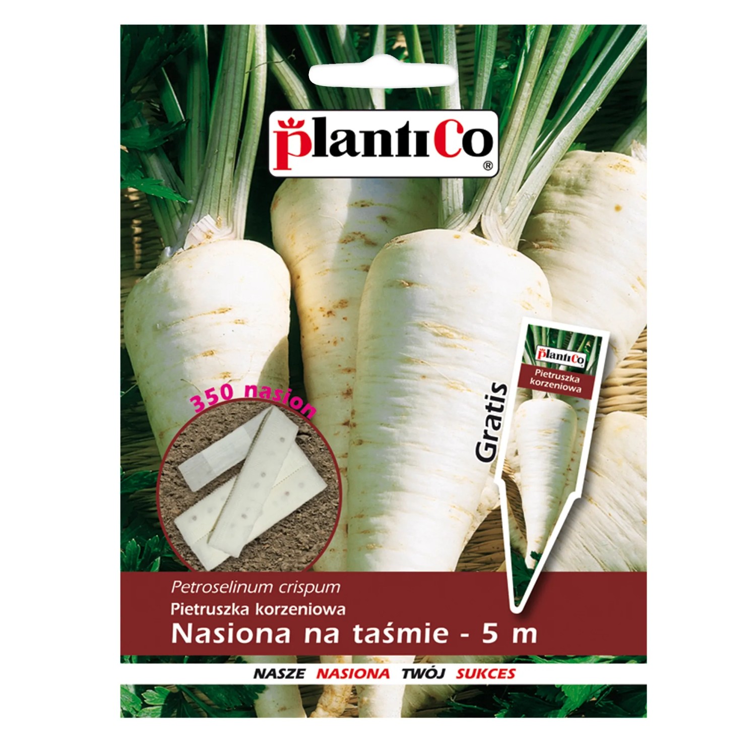 Pietruszka Kaśka - nasiona na 5 m taśmie