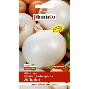 Opakowanie nasion białej cebuli Alibaba, idealne do uprawy warzyw.