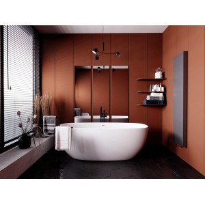 Łazienka z wolnostojącą wanną i grzejnikiem t.b.t.