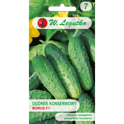 Ogórek konserwowy Borus 4 g
