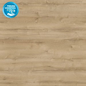 Jasny wygląd drewna paneli t.b.t. Panele podłogowe. Szczegółowe ujęcie słojów.