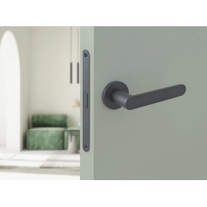 Nowoczesna, szara klamka do drzwi na jasnozielonych drzwiach. Okucia do drzwi wewnętrznych.