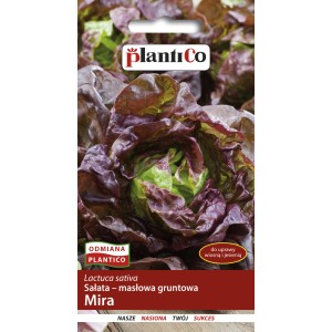 Opakowanie nasion sałaty masłowej 'Mira'. Ciemnoczerwone liście sałaty na pierwszym planie.