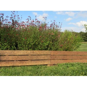 Drewniana obrzeże ogrodowe w ogrodzie, kategoria: Obrzeża i palisady.