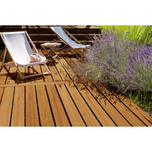 Drewniany taras zabezpieczony olejem do drewna, ozdobiony leżakami i lawendą.